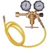 Reductor de azot TC Technic 2-50 bar cu furtun și adaptor SAE
