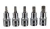 Torx Bitek és Dugókulcsok Készlete Műanyag Kofferben (30 darabos) - TC Technic JC1533