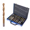 Titán-nitrid HSS Fúrószár Készlet 1-10 mm, 170 db, Fém Kofferben